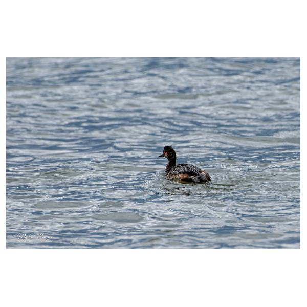 PHOTO84, CLUB, 84 , LUBERON